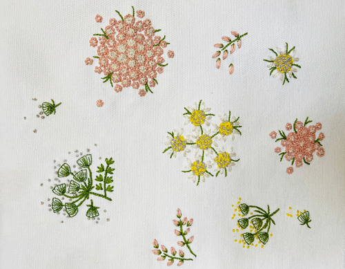 Fleurs des champs