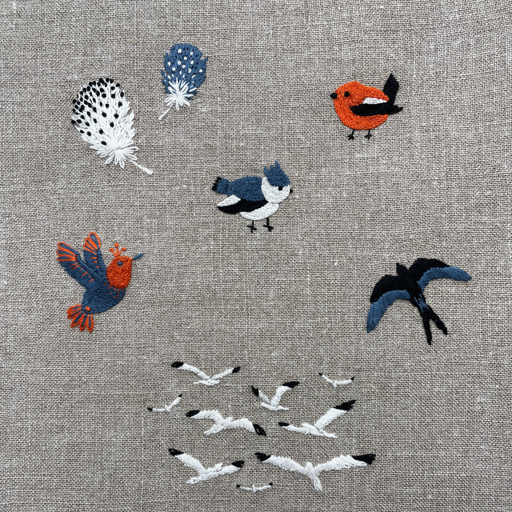 SOS PETIT TROU Chant d’Oiseaux
