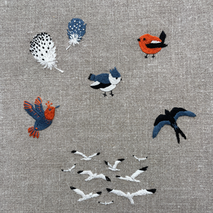 SOS PETIT TROU Chant d’Oiseaux