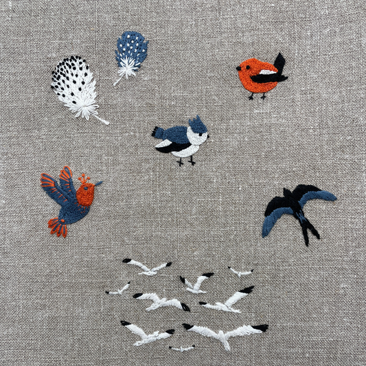SOS PETIT TROU Chant d’Oiseaux