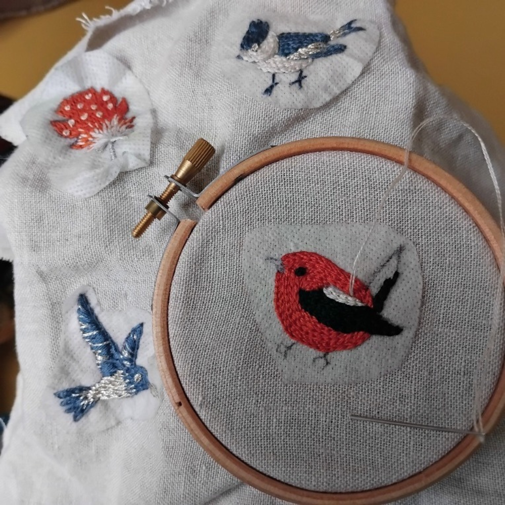 SOS PETIT TROU Chant d’Oiseaux
