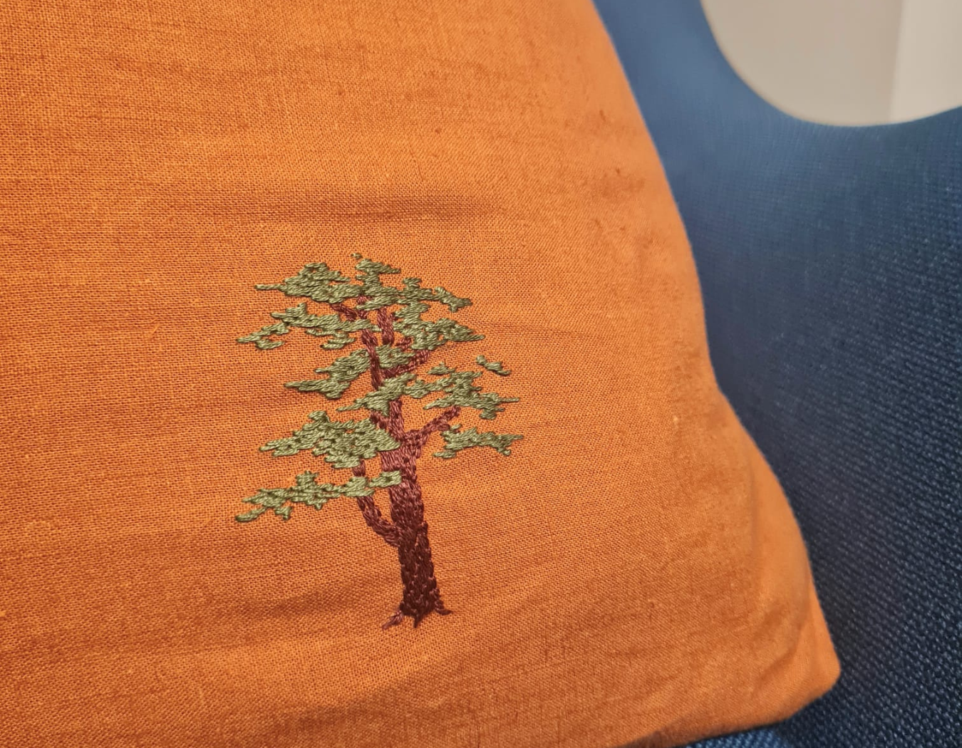 SOS PETIT TROU En forêt