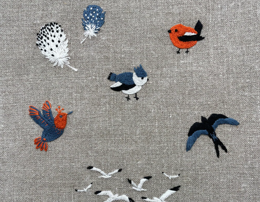 Chant d'Oiseaux